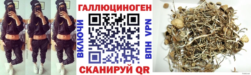 Купить закладки Старая Русса Псилоцибиновые грибы GOLDEN TEACHER